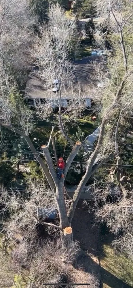 Affordable outdoor landscaping for homes across West Valley City, UT - Eco Mex
