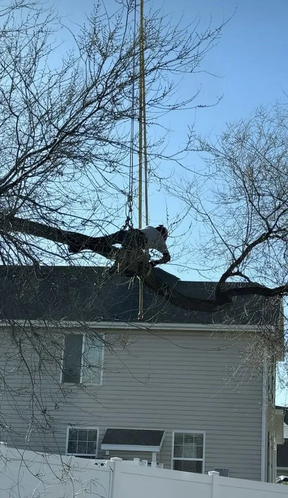 Trusted landscape installation in West Valley City, UT by Eco Mex