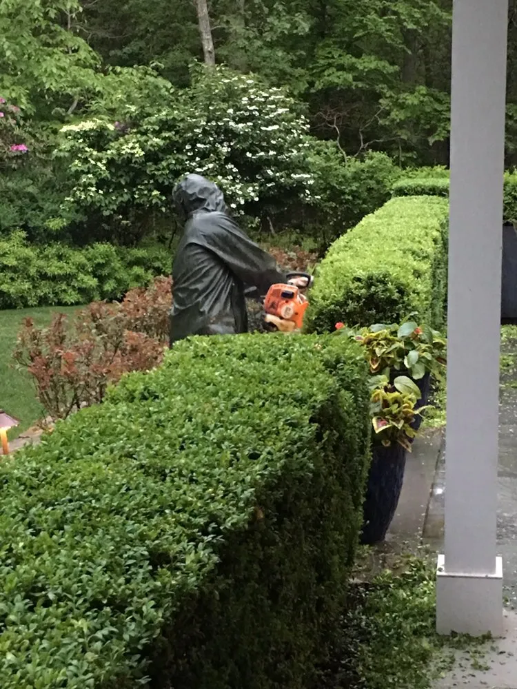 Trusted yard maintenance in East Hampton, NY - Eco Nature Janet Landscape Design