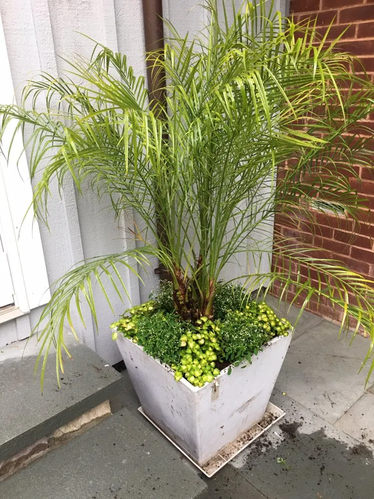 Expert yard cleanup service for homes in East Hampton, NY by Eco Nature Janet Landscape Design