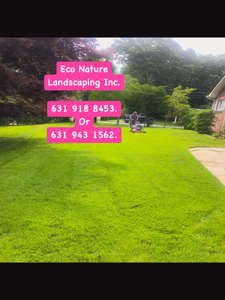 Top-rated yard cleanup service for outdoor upgrades across East Hampton, NY - Eco Nature Janet Landscape Design