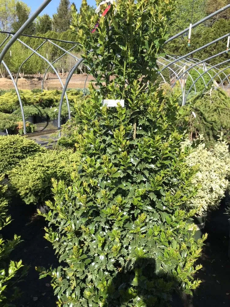 Professional residential landscaping experts serving East Hampton, NY - Eco Nature Janet Landscape Design