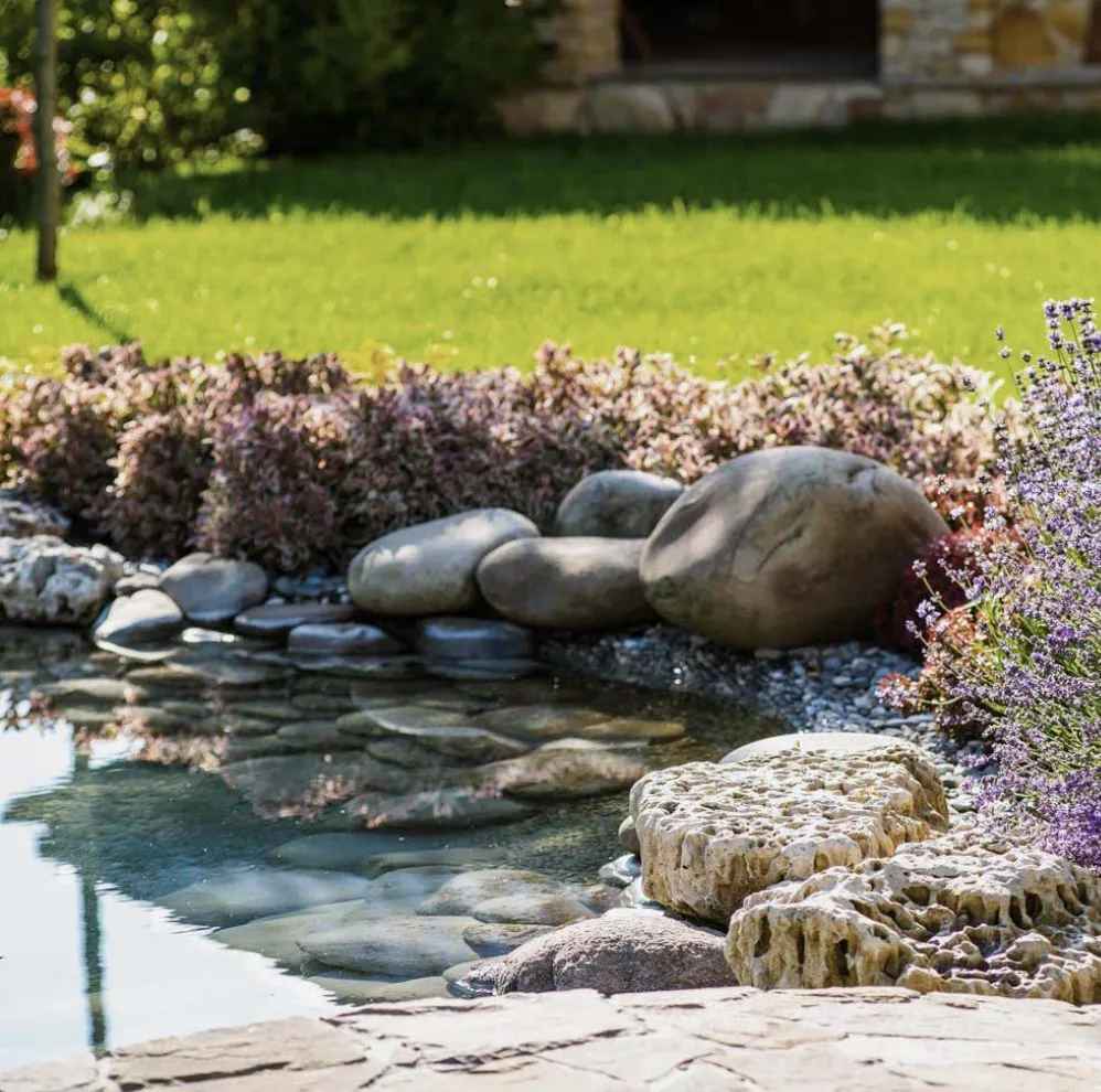 Local lawn care service in Glendale, CA by Eco Plus Landscaping