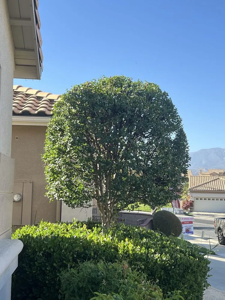 Expert landscape design for residential properties in Riverside, CA by Eco Pro Arbor Care