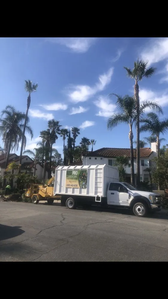 Affordable lawn care service in Riverside, CA - Eco Pro Arbor Care