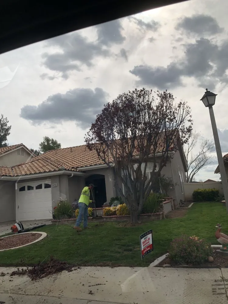 Local outdoor landscaping experts serving Riverside, CA - Eco Pro Arbor Care
