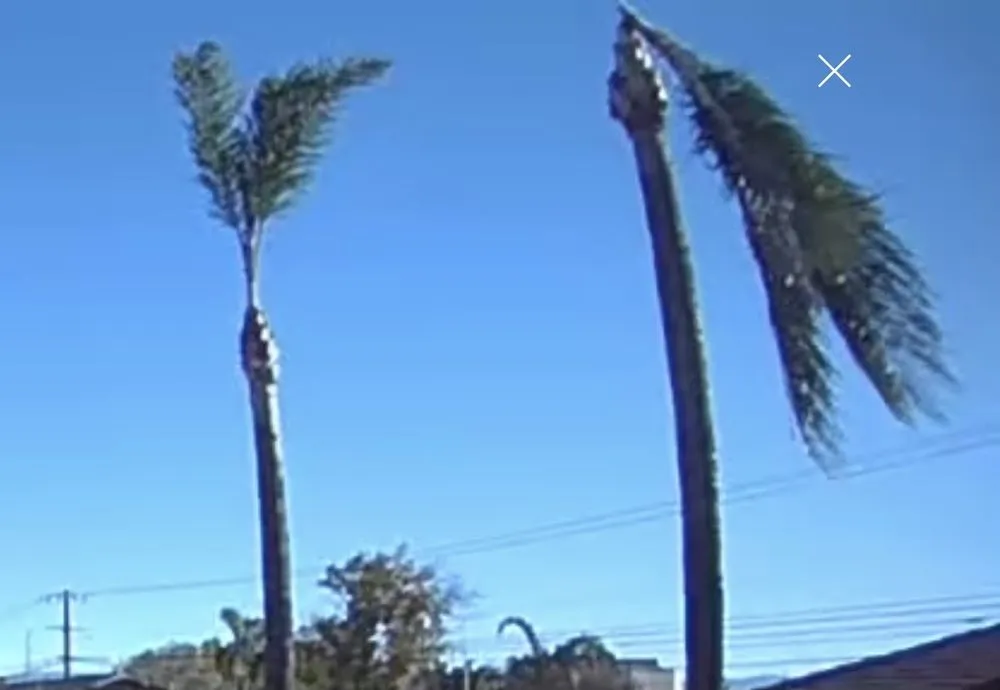 Top-rated landscaping services near you across Riverside, CA - Eco Pro Arbor Care