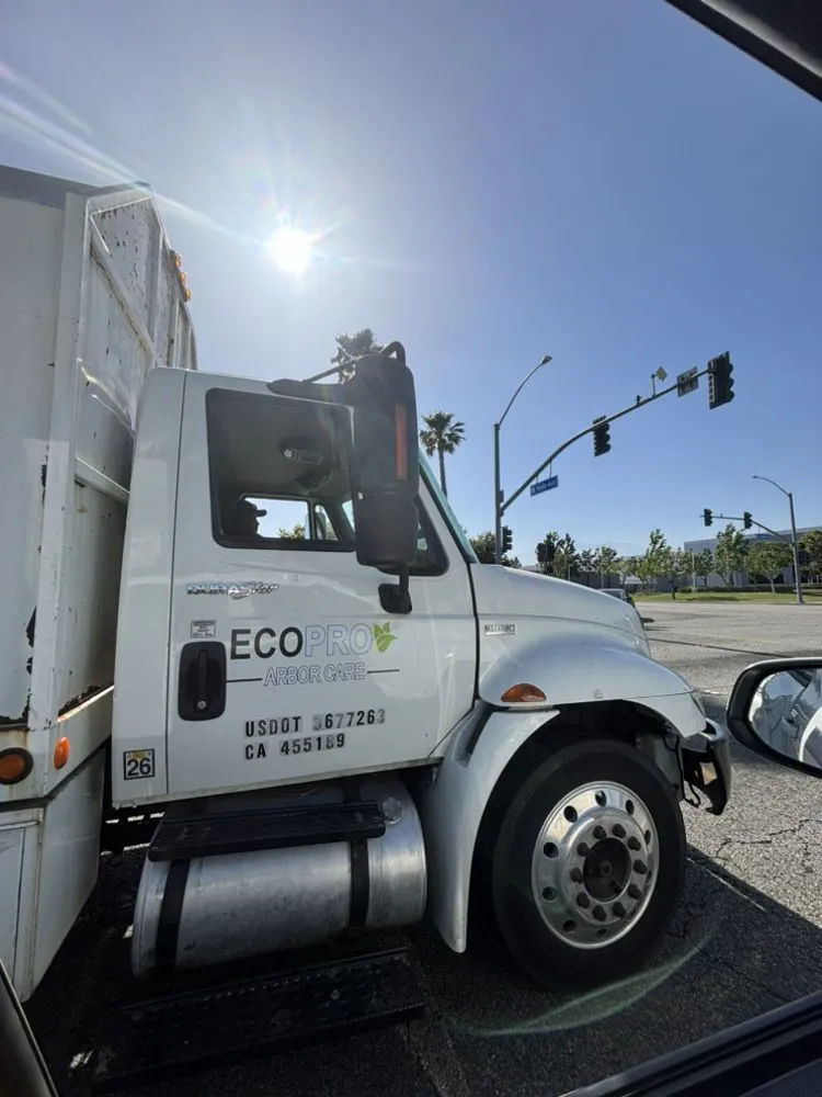 Trusted residential landscaping in Riverside, CA by Eco Pro Arbor Care