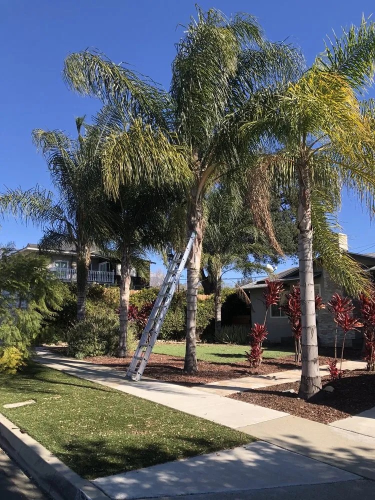 Expert residential landscaping in Riverside, CA - Eco Pro Arbor Care