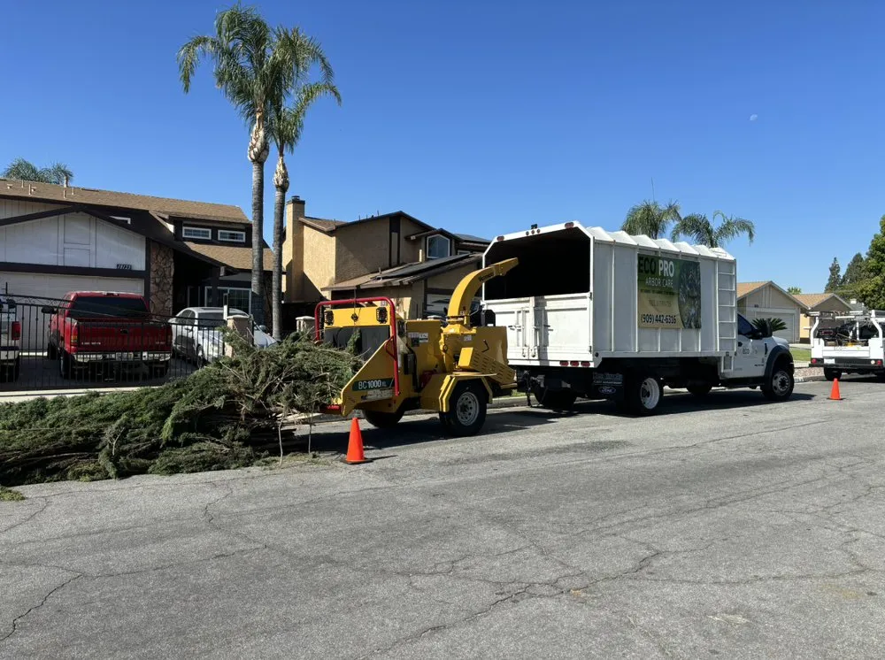 Custom landscaping services for year-round maintenance in Riverside, CA by Eco Pro Arbor Care