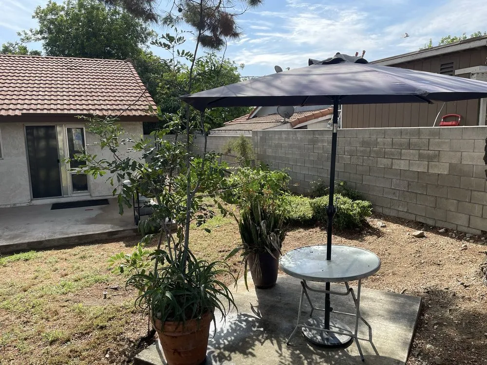 Reliable yard cleanup service for outdoor upgrades across Riverside, CA - Eco Pro Arbor Care