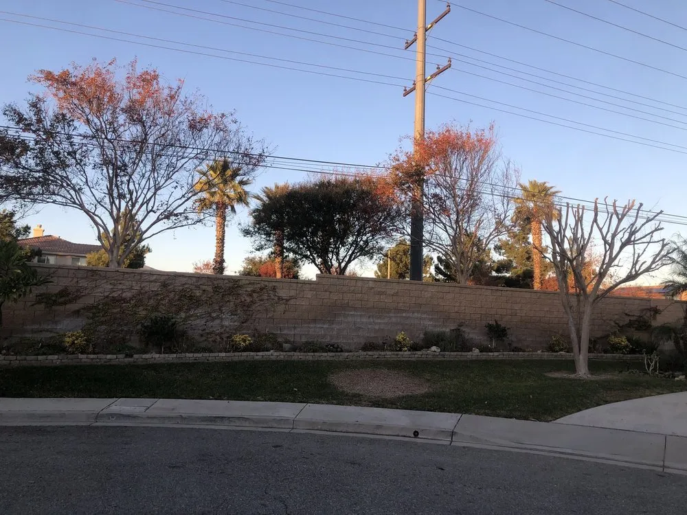 Reliable landscape design with custom design across Riverside, CA - Eco Pro Arbor Care