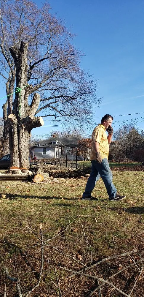 Local outdoor landscaping experts serving Enfield, CT - Eco Pro