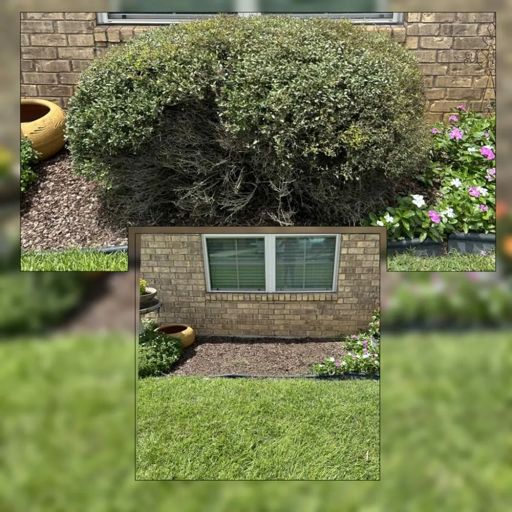 Reliable garden landscaping in Longview, TX - Eco-Pro Tree and Hauling