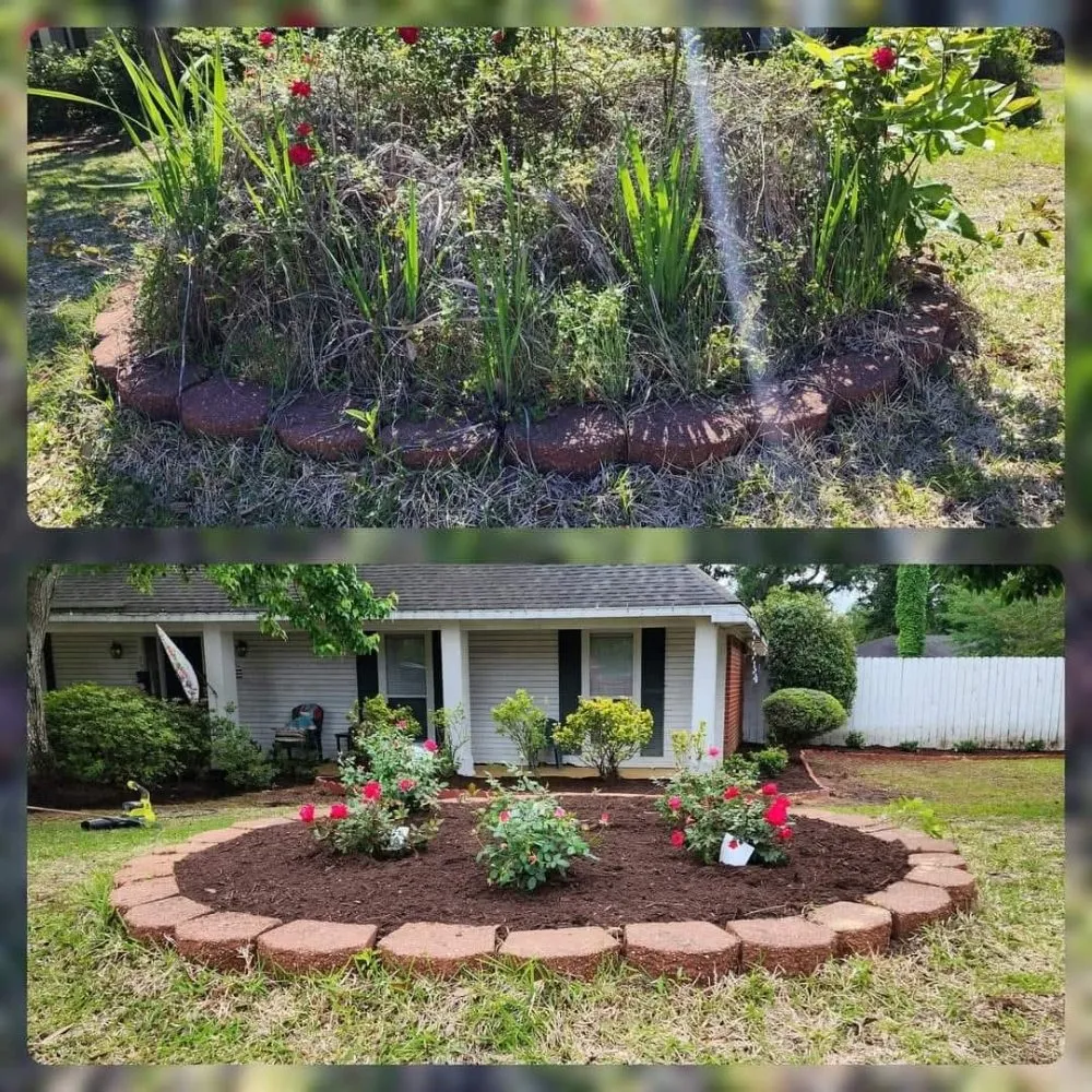 Affordable landscape installation in Longview, TX - Eco-Pro Tree and Hauling