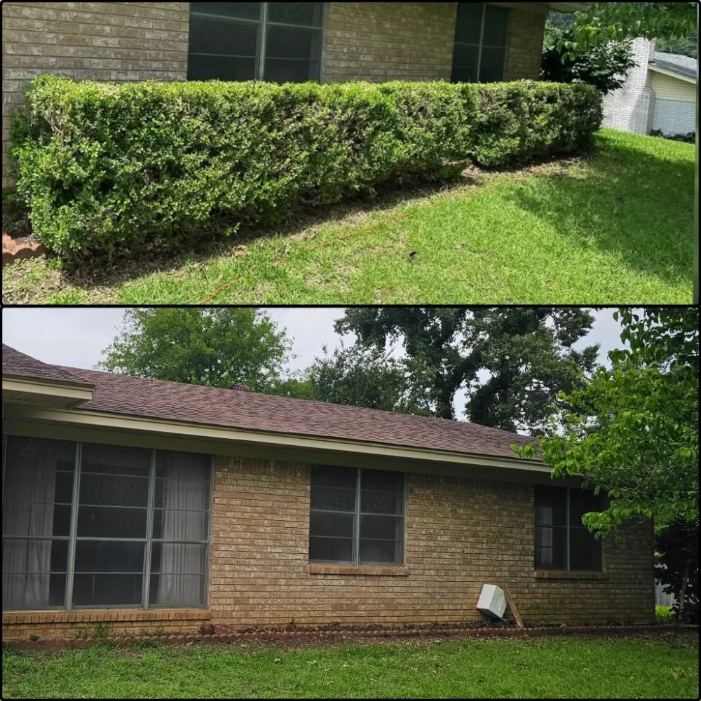 Top-rated yard cleanup service experts serving Longview, TX - Eco-Pro Tree and Hauling