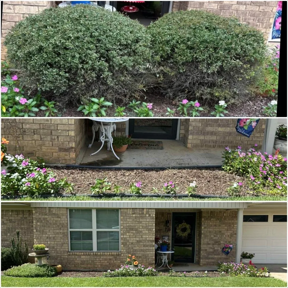 Local landscape design for year-round maintenance across Longview, TX - Eco-Pro Tree and Hauling