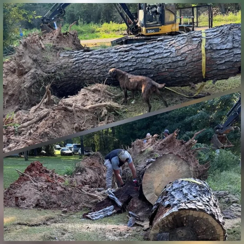 Affordable outdoor landscaping in Longview, TX by Eco-Pro Tree and Hauling