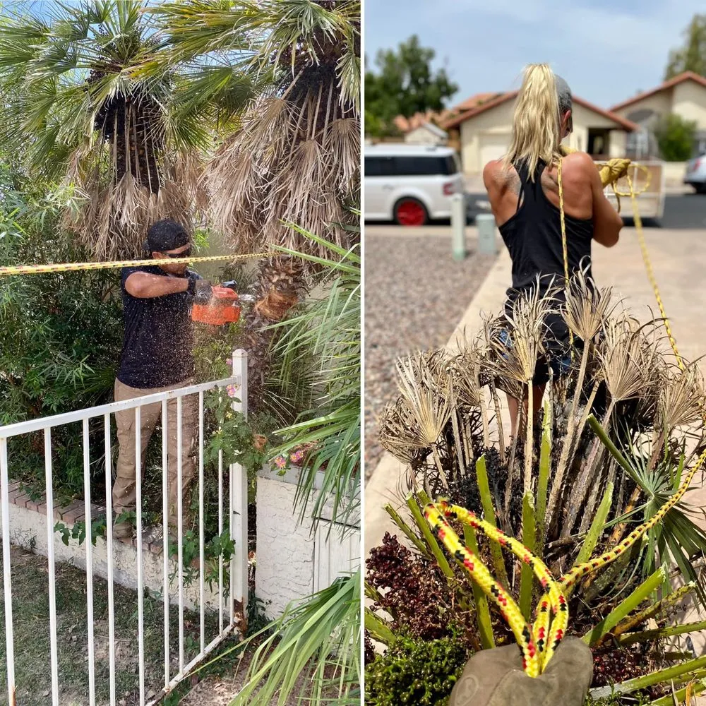 Expert lawn mowing service in Longview, TX - Eco-Pro Tree and Hauling