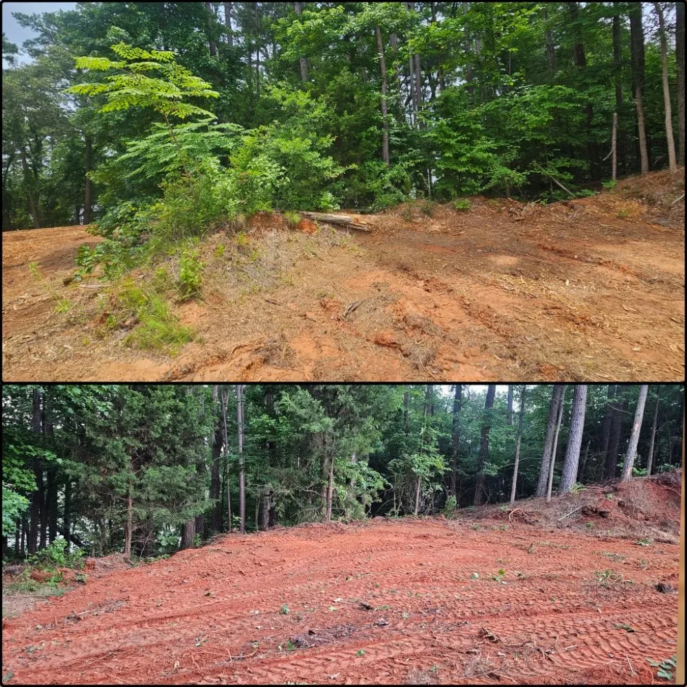 Reliable yard cleanup service experts serving Longview, TX - Eco-Pro Tree and Hauling