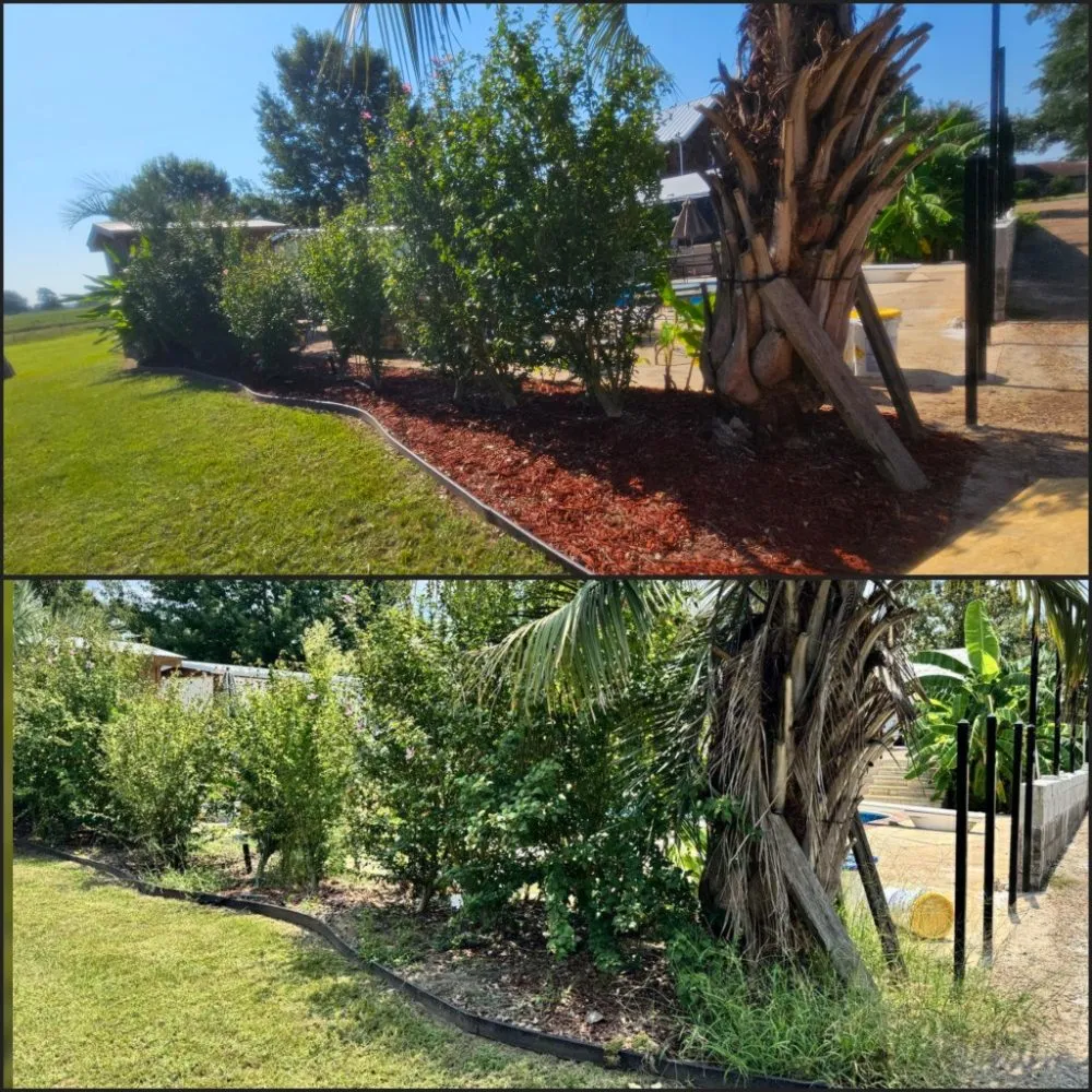 Affordable yard cleanup service experts serving Longview, TX - Eco-Pro Tree and Hauling