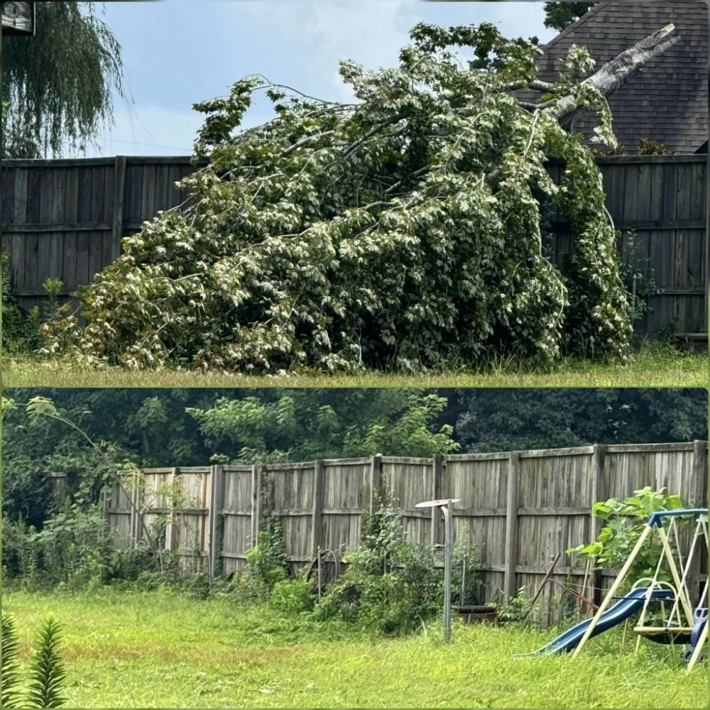 Custom garden landscaping for residential properties across Longview, TX - Eco-Pro Tree and Hauling