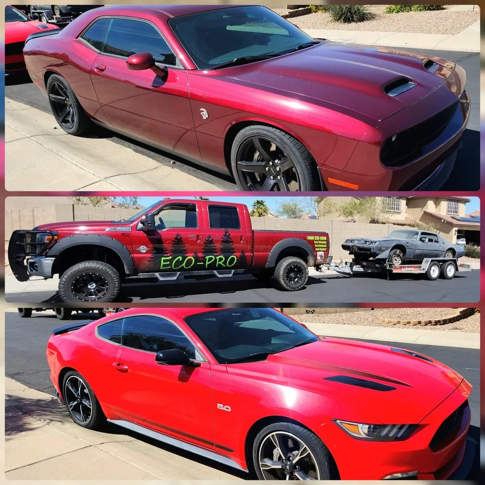 Reliable lawn care service in Longview, TX - Eco-Pro Tree and Hauling