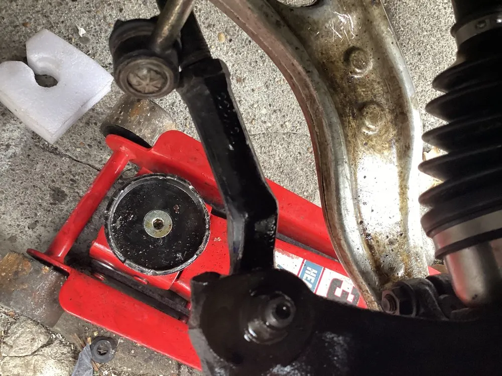 Top-rated landscape installation for homes across Upper Darby, PA - ECO Property Maintenance