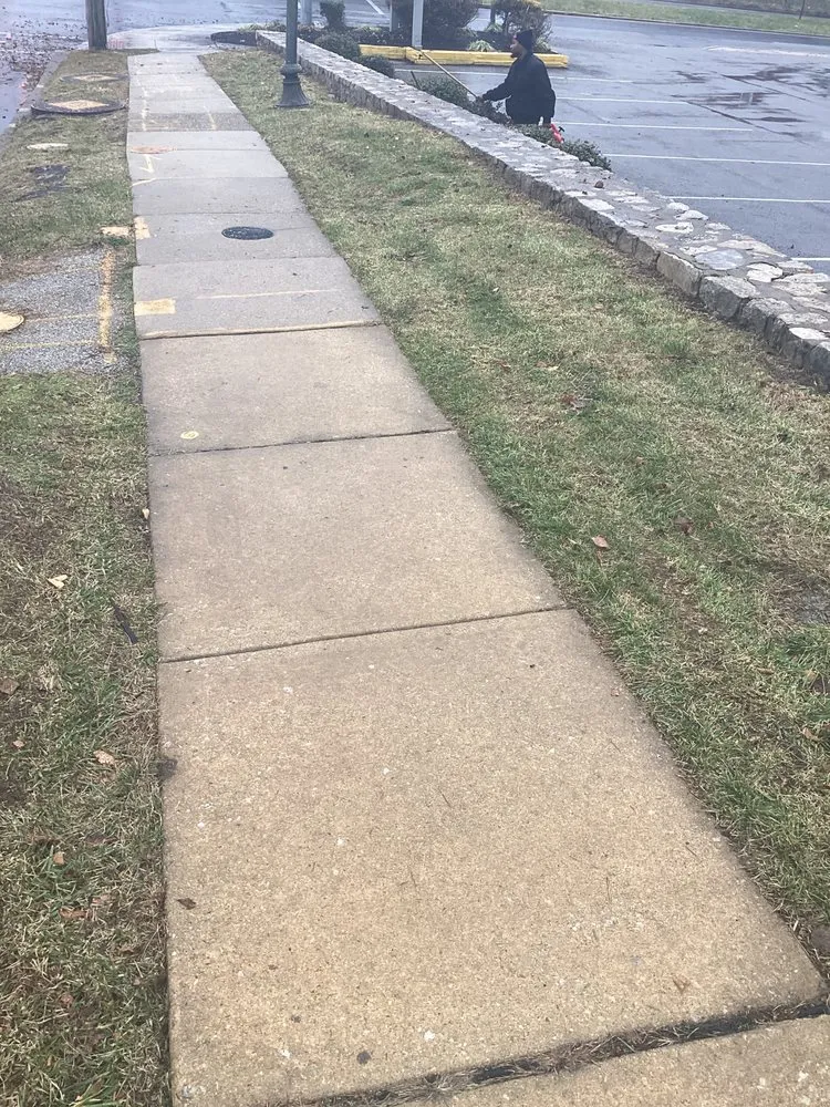 Top-rated landscape design for beautiful yards across Upper Darby, PA - ECO Property Maintenance