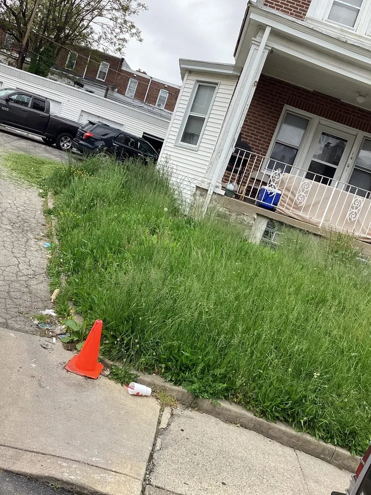 Trusted yard cleanup service in Upper Darby, PA - ECO Property Maintenance