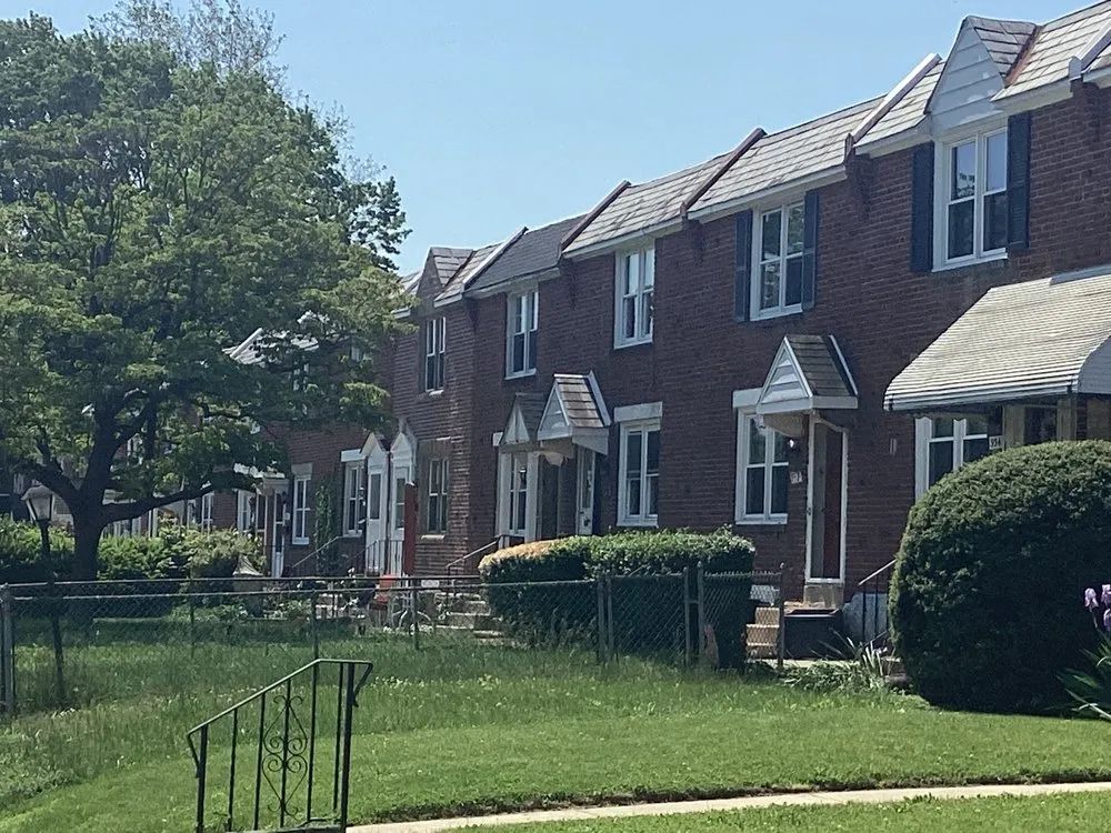 Local yard cleanup service in Upper Darby, PA by ECO Property Maintenance