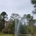 Reliable yard maintenance for beautiful yards in Sorrento, FL by Eco Property Solutions