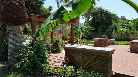 Reliable yard cleanup service in Sorrento, FL by Eco Property Solutions