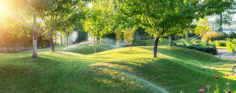 Top-rated yard cleanup service experts serving Sorrento, FL - Eco Property Solutions