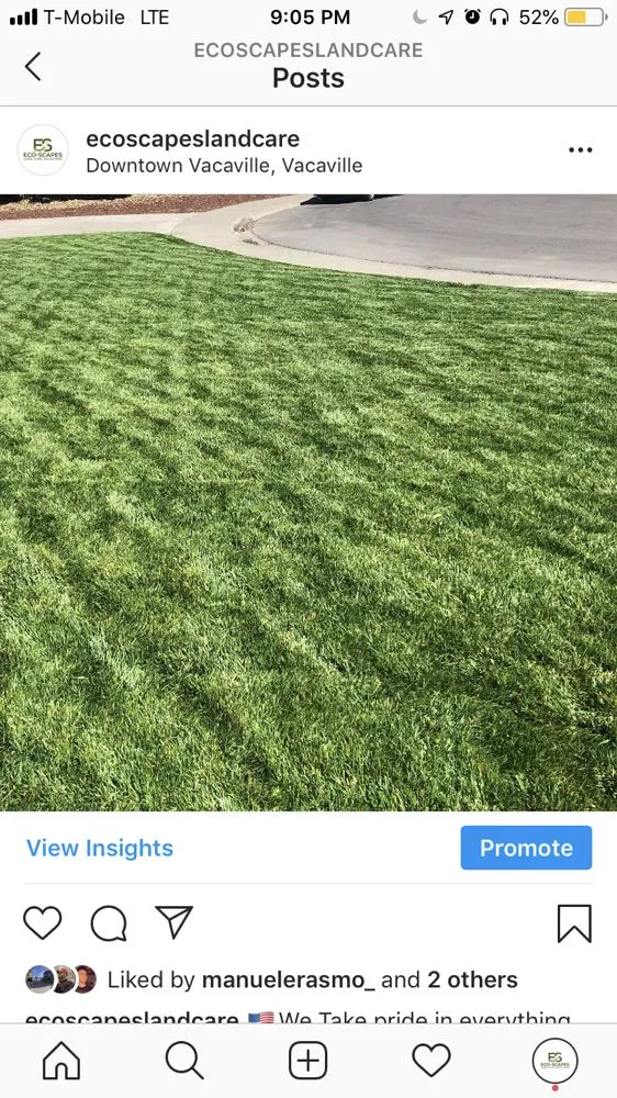 Custom landscaping services in Fairfield, CA by Eco Scapes Landcare Solutions