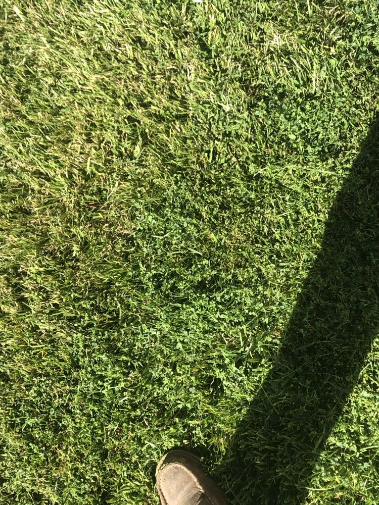 Affordable residential landscaping for outdoor upgrades across Fairfield, CA - Eco Scapes Landcare Solutions