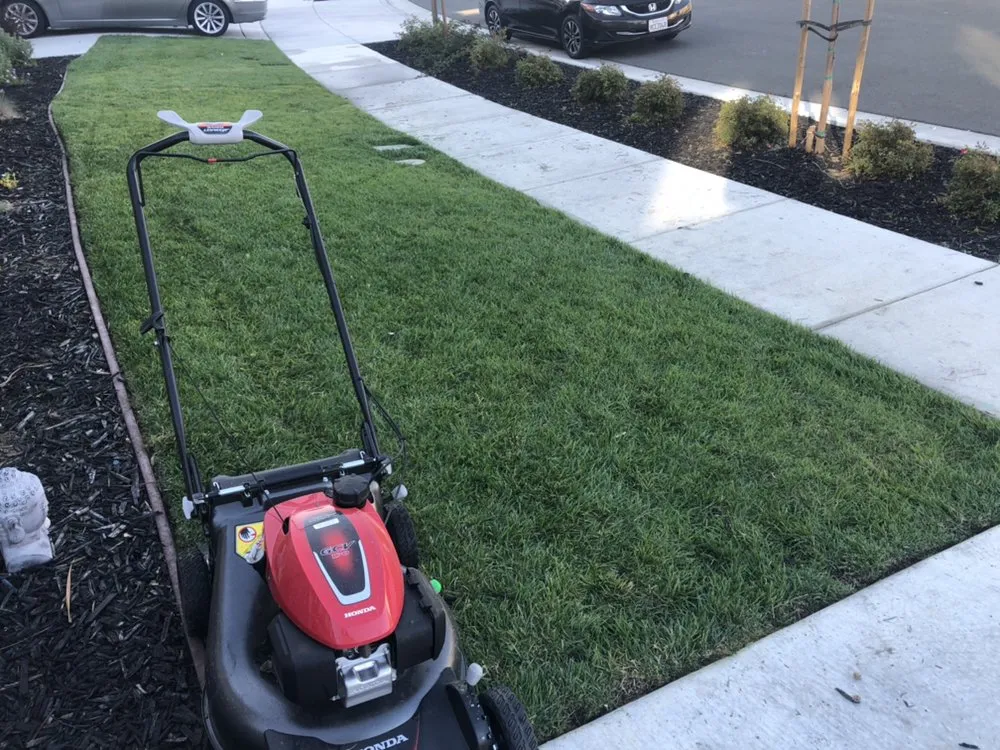 Affordable yard cleanup service in Fairfield, CA - Eco Scapes Landcare Solutions
