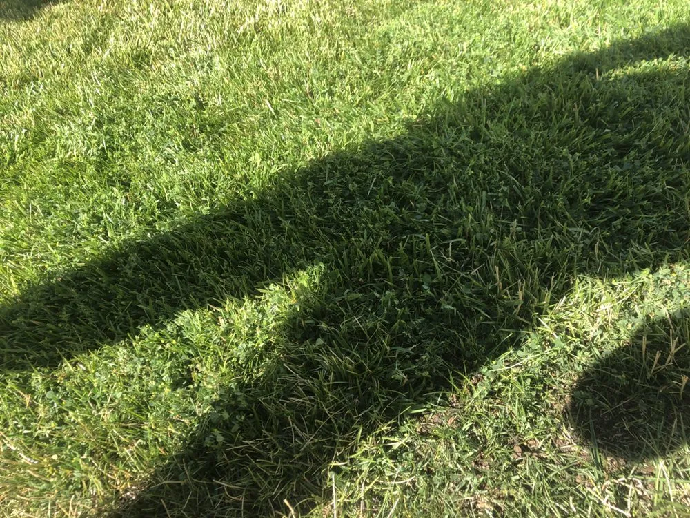 Custom landscaping services for homes across Fairfield, CA - Eco Scapes Landcare Solutions