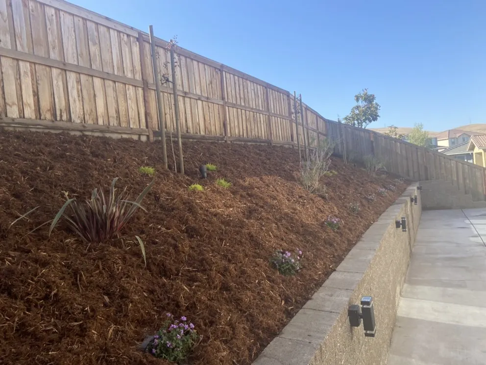 Reliable lawn mowing service in Fairfield, CA - Eco Scapes Landcare Solutions