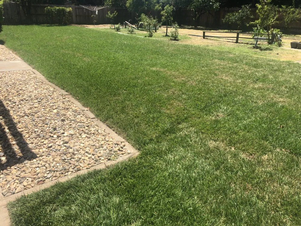 Affordable yard cleanup service experts serving Fairfield, CA - Eco Scapes Landcare Solutions