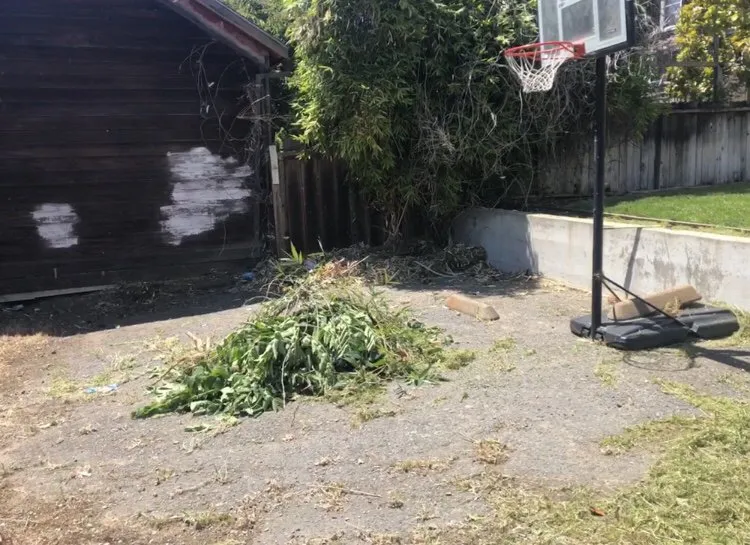 Trusted garden landscaping experts serving Fairfield, CA - Eco Scapes Landcare Solutions