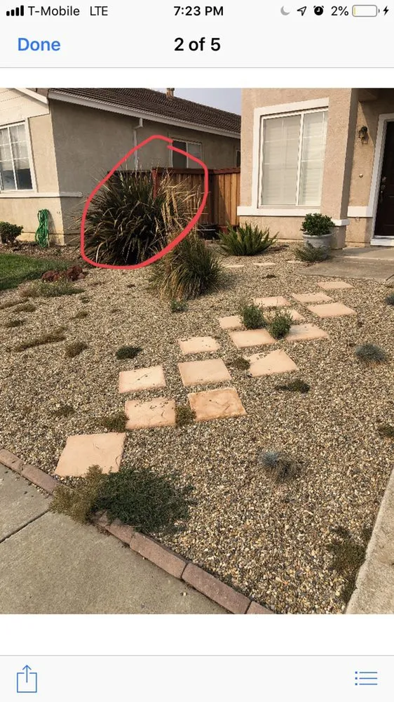 Affordable outdoor landscaping for homes across Fairfield, CA - Eco Scapes Landcare Solutions