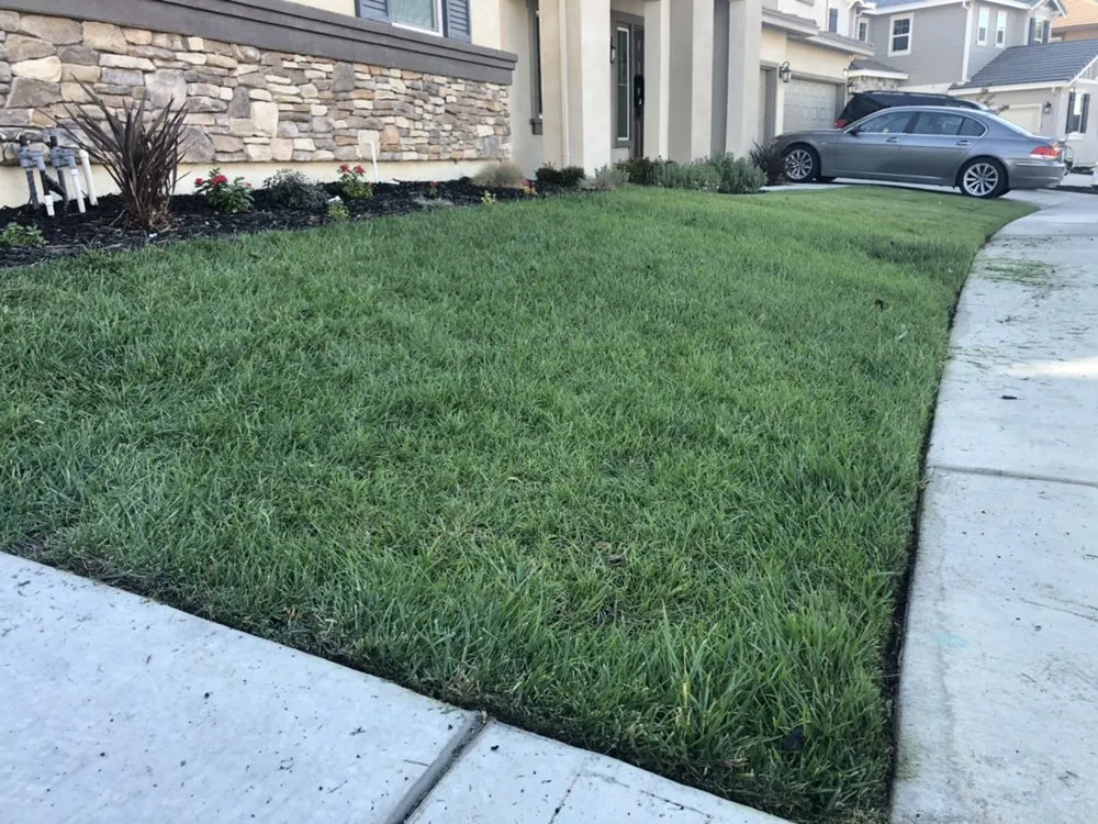 Affordable outdoor landscaping in Fairfield, CA - Eco Scapes Landcare Solutions