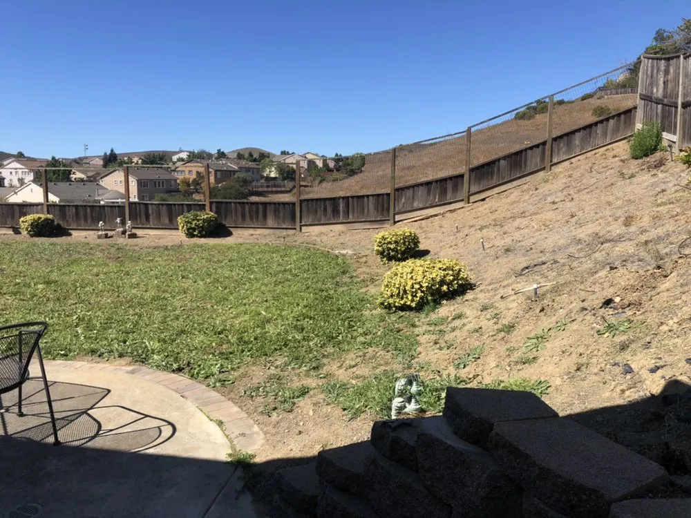 Affordable outdoor landscaping for homes in Fairfield, CA by Eco Scapes Landcare Solutions