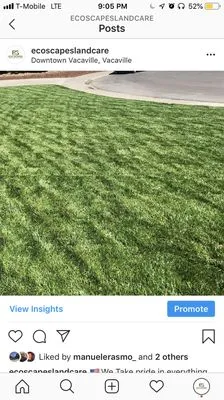 Eco Scapes Landcare Solutions Logo