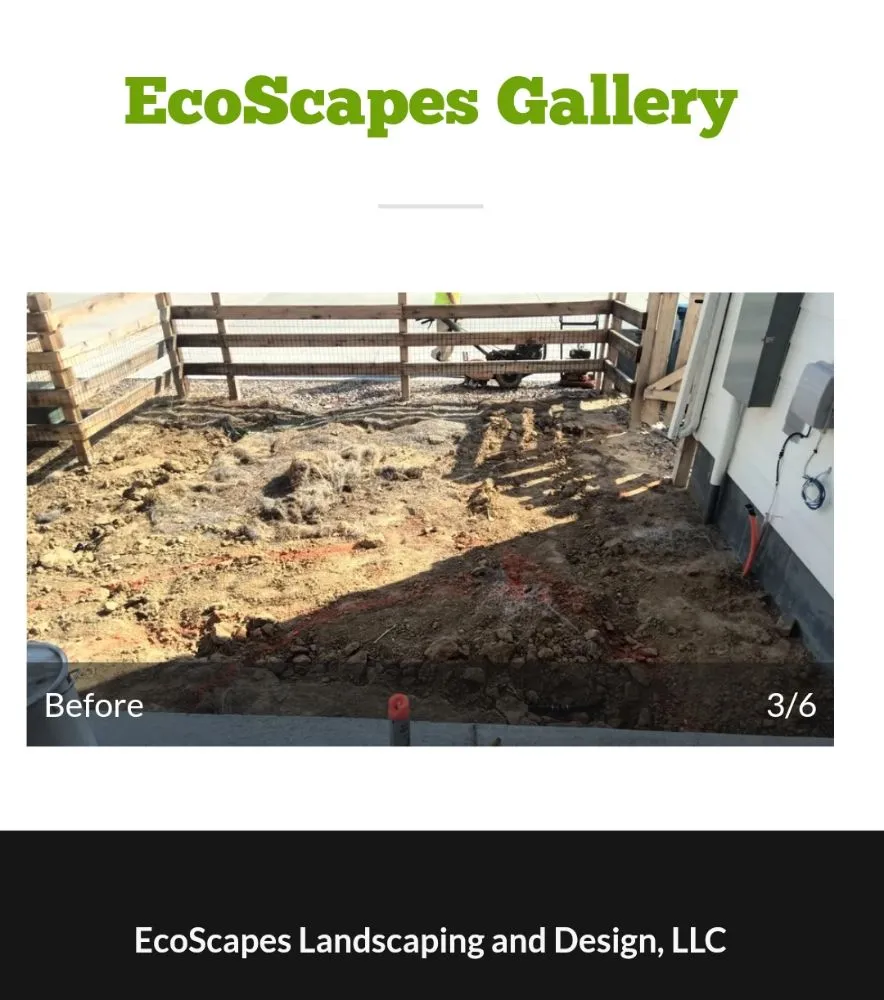 Trusted yard cleanup service for residential properties in Denver, CO by Eco Scapes Landscaping & Design