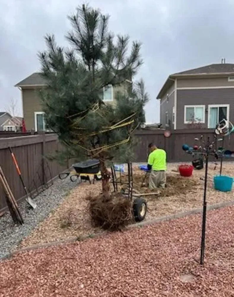 Professional lawn care service in Denver, CO - Eco Scapes Landscaping & Design