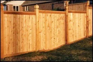 Trusted yard maintenance in San Antonio, TX - Eco Scapes of Texas