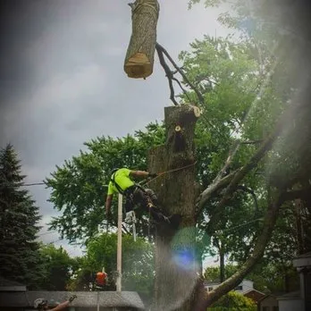 Affordable lawn care service in Oakley, CA by Eco Sculpt Landscapes