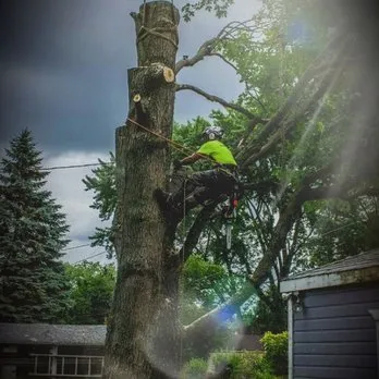 Reliable yard maintenance experts serving Oakley, CA - Eco Sculpt Landscapes